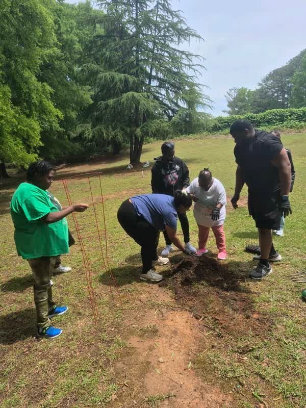 Community Activity Outdoors